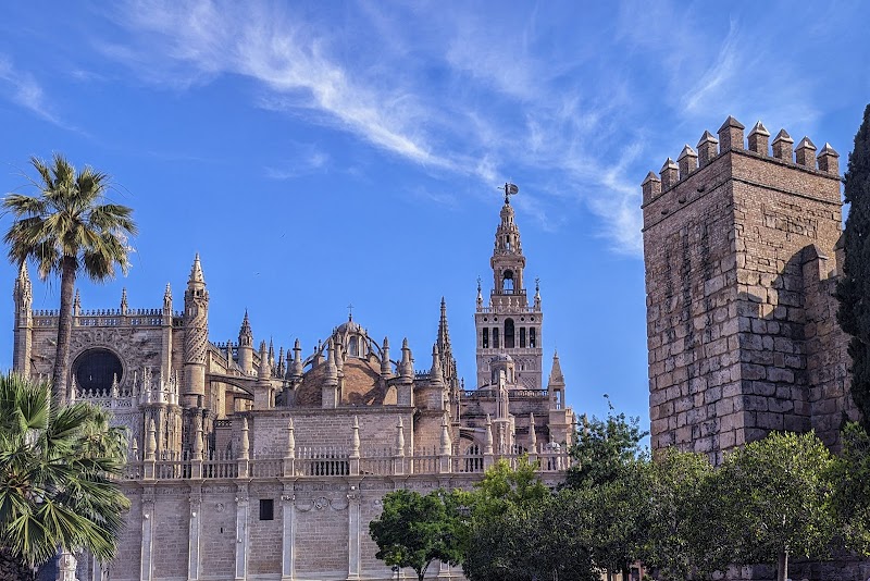 View of the Seville Cathedral with the Giralda tower under a blue sky, flanked by palm trees and an adjacent stone building, as seen on a travel map.