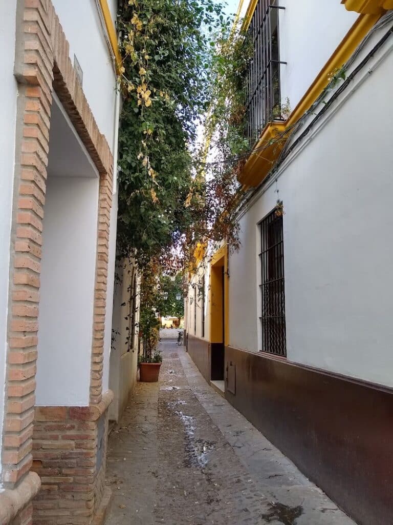 Narrow alley with white buildings and yellow trim, bordered by vines and greenery, leading to an open area. Like a scene from a travel map, brick and stone details accentuate the architecture.