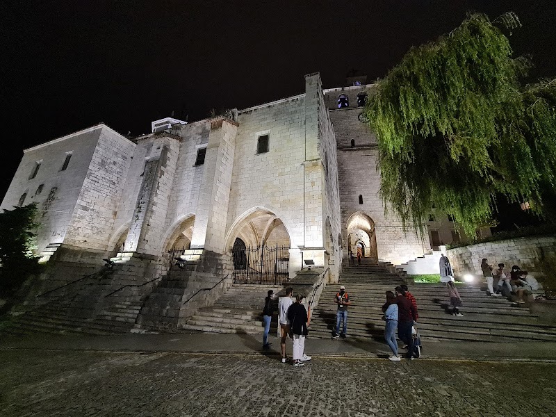 People gather on stone steps outside an illuminated, historic stone building at night, using a travel map to explore its archway and admire the large tree on the right.