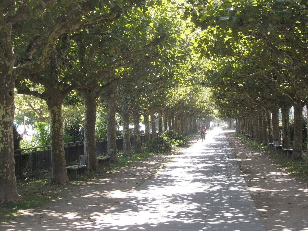 Rhine promenade walking route on a Mainz tourist map