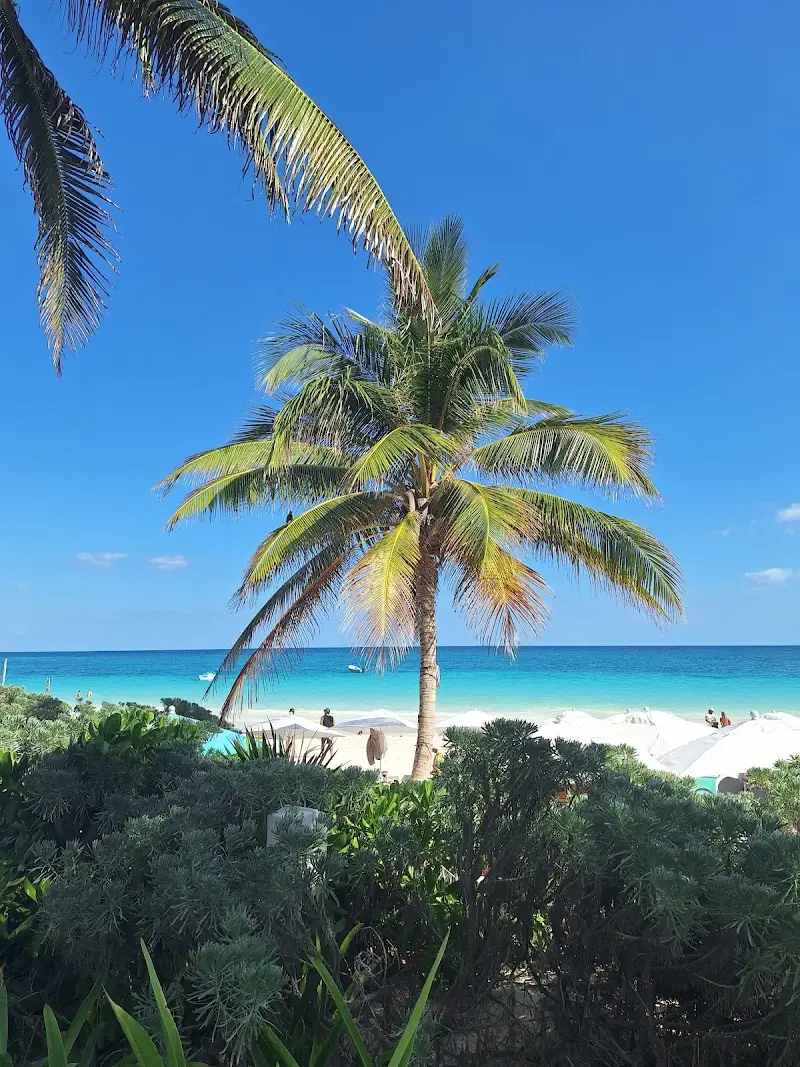 Tourist map image for Tulum