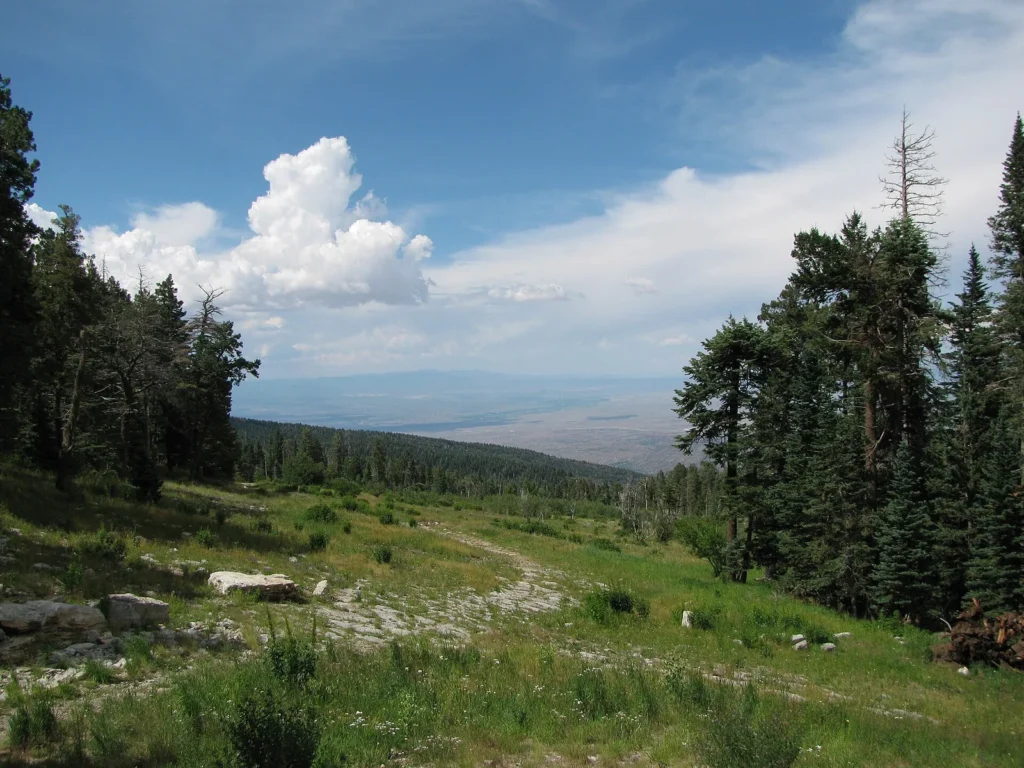 Albuquerque panorama with the Sandia Mountains beyond the city