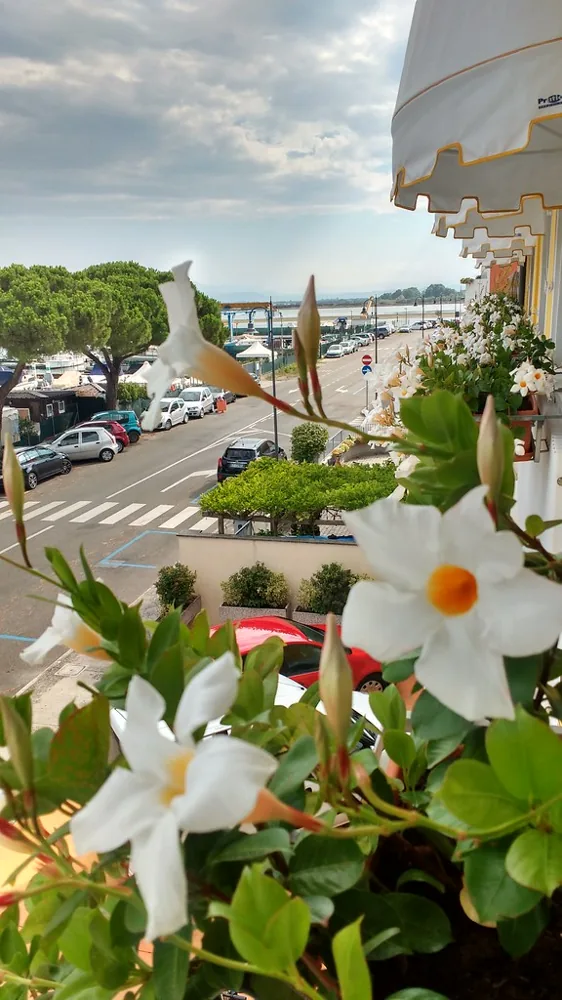 Grado coastal and lagoon context in Friuli Venezia Giulia