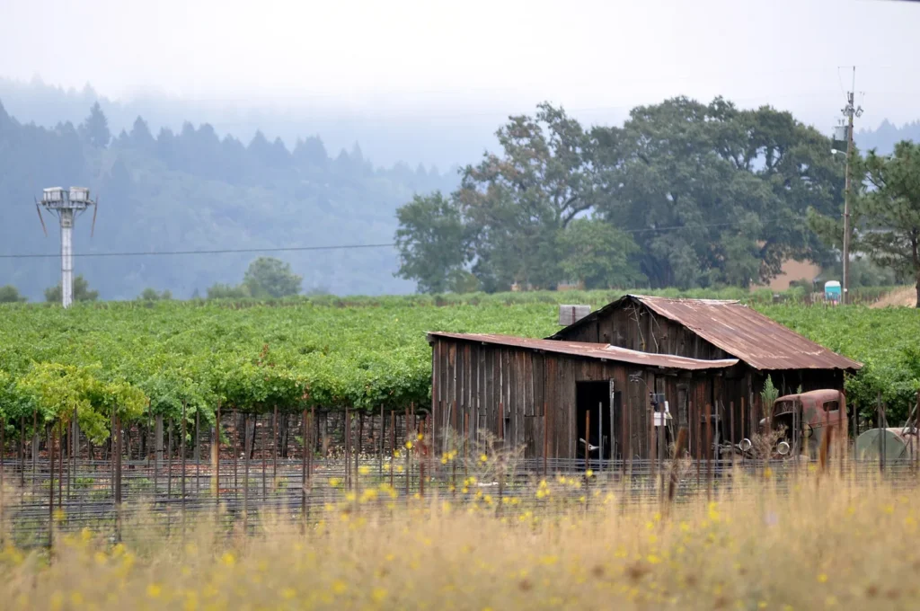 Vineyards and hills across Napa Valley in California