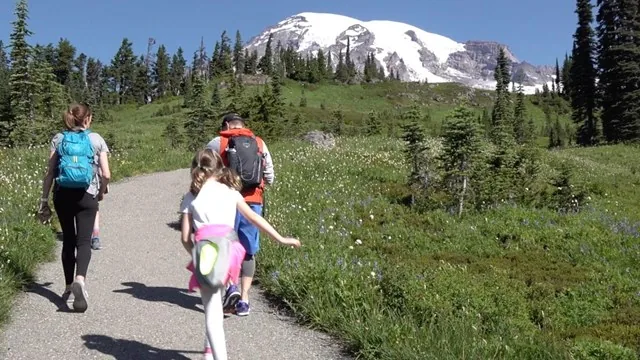 Family walking through a meadow with Mount Rainier view