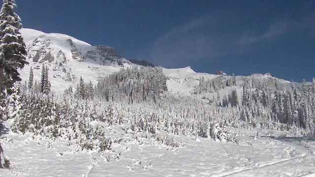 Mount Rainier and Paradise meadows in snow