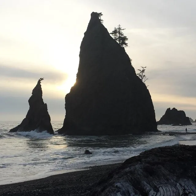 Olympic coast sea stacks at sunset