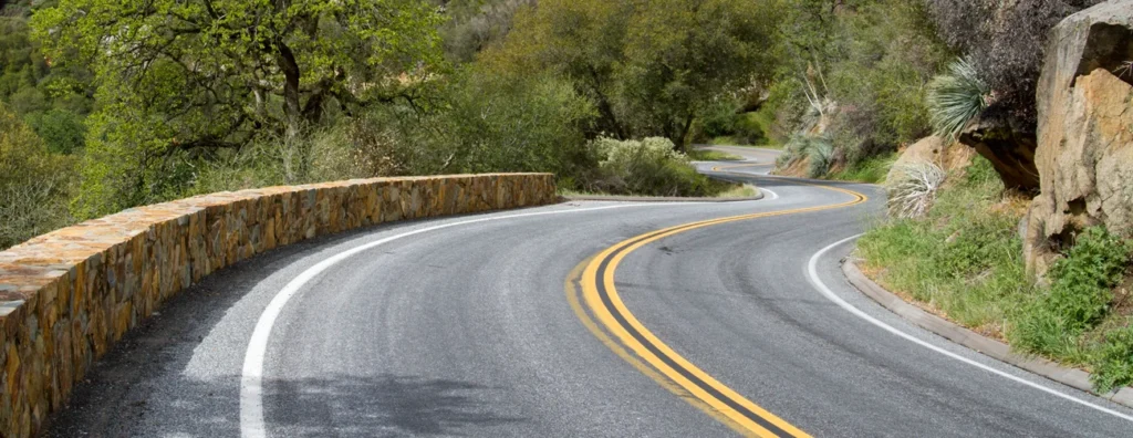 Road curving through open forest in Sequoia